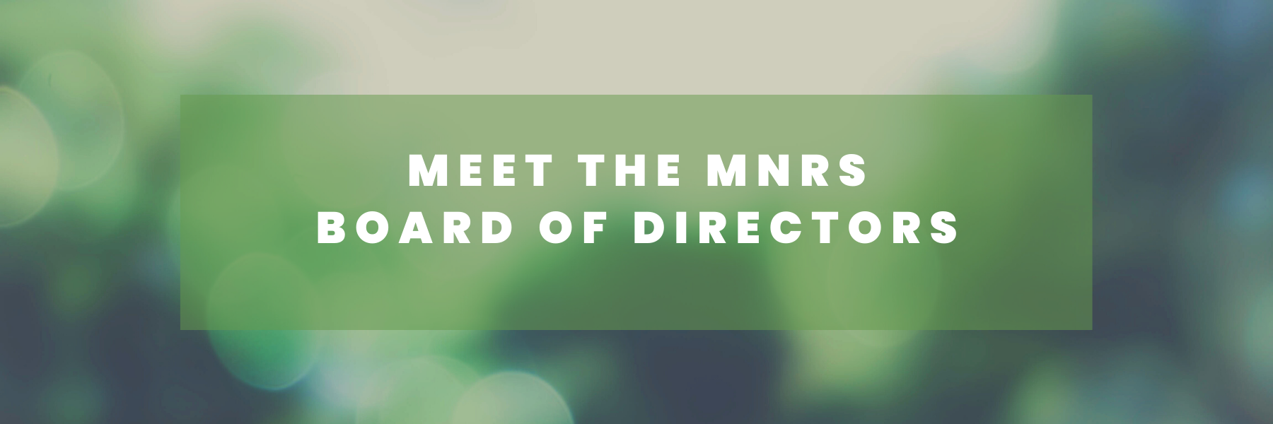 MNRS Board